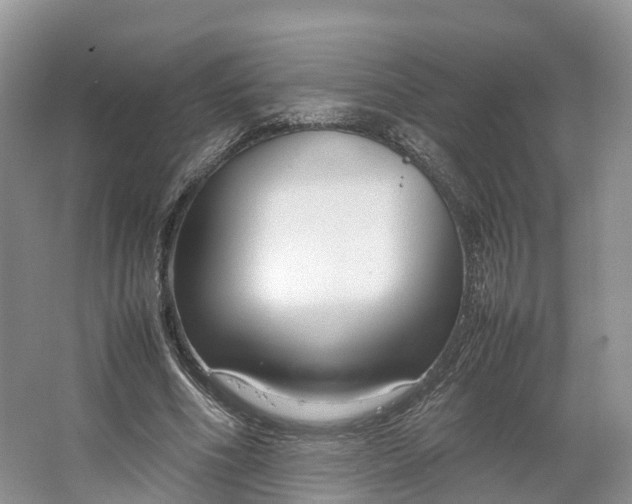 X0000064730586200602241721