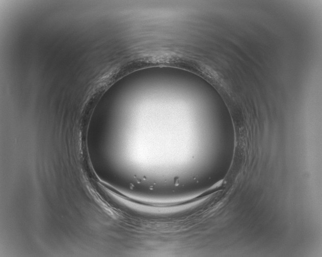 X0000064730589200602241721