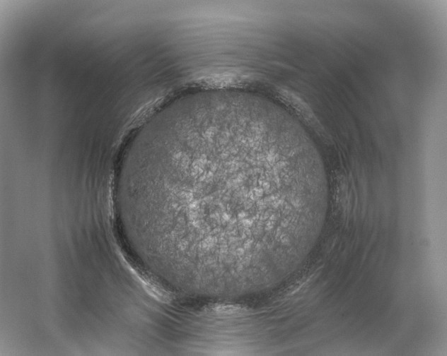 X0000064730590200602241721