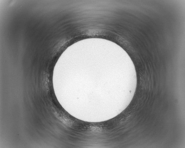 X0000064730592200602241721