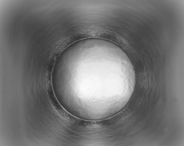 X0000064730594200602241721