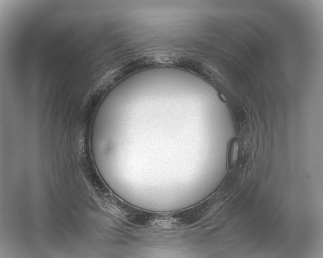 X0000064730595200602241721