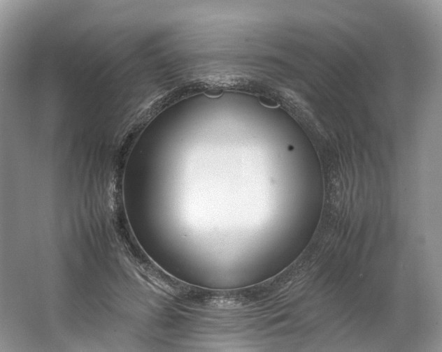 X0000064730596200602241721