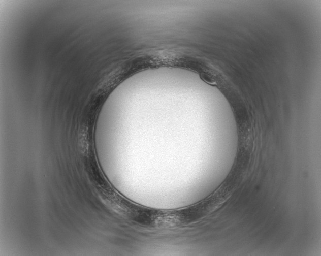 X0000064730599200602241721