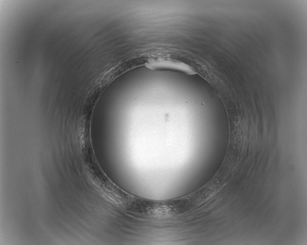 X0000064730600200602241721