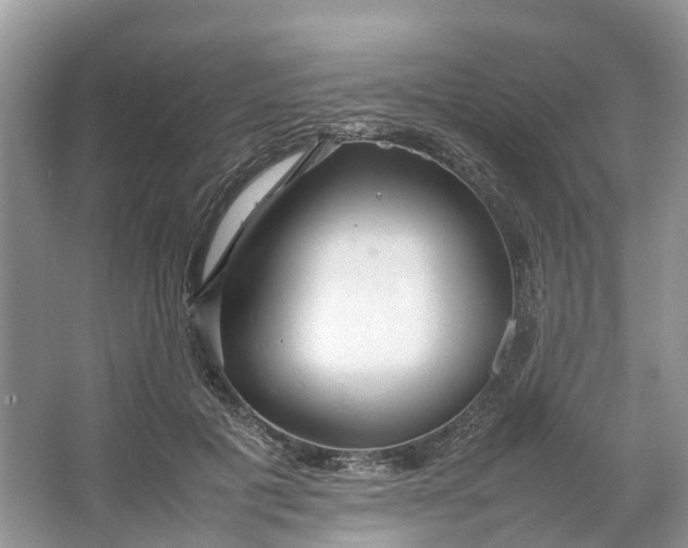 X0000064730601200602241721