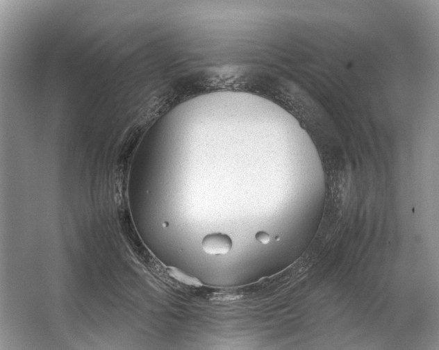 X0000064730602200602241721