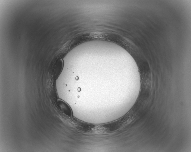 X0000064730603200602241721