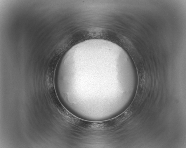 X0000064730606200602241721