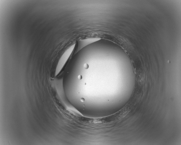 X0000064730607200602241721