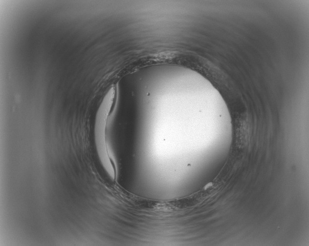 X0000064730608200602241721