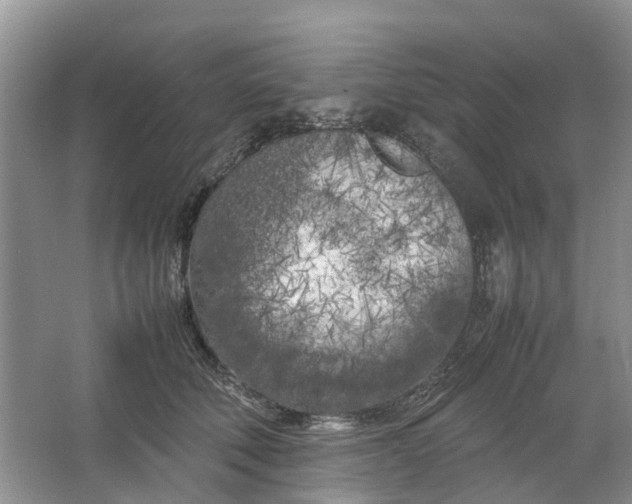 X0000064730610200602241721