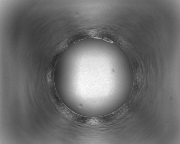 X0000064730611200602241721