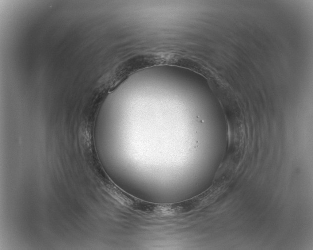 X0000064730613200602241721