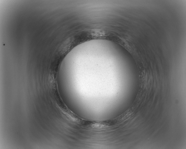 X0000064730614200602241721