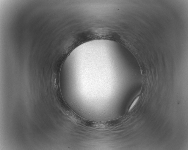 X0000064730615200602241721