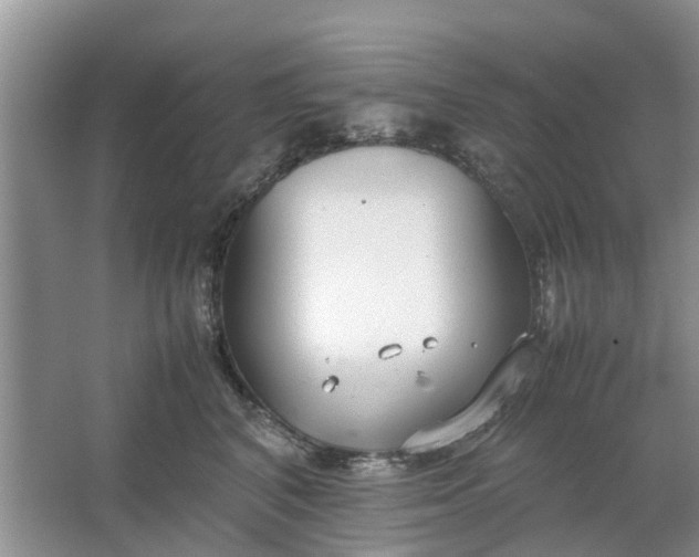 X0000064730616200602241721