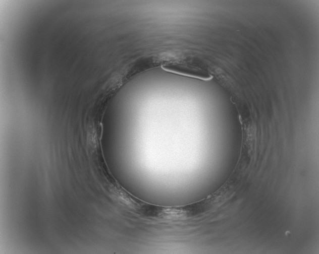 X0000064730617200602241721