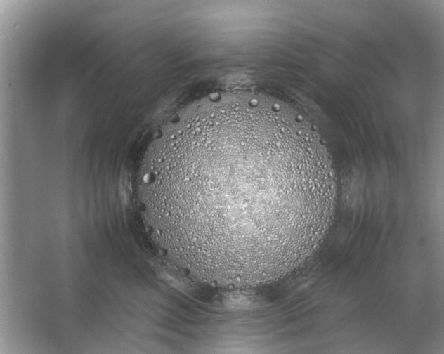 X0000064730618200602241721