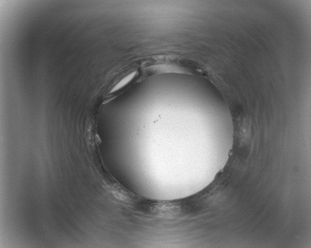 X0000064730619200602241721