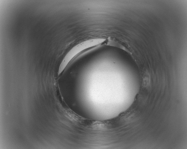 X0000064730620200602241721