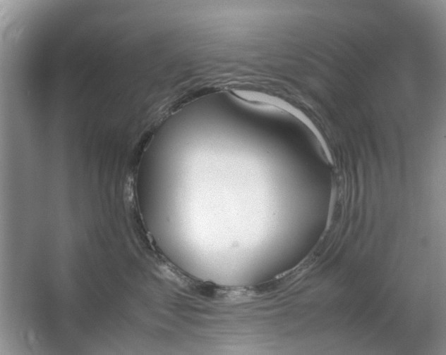 X0000064730621200602241721