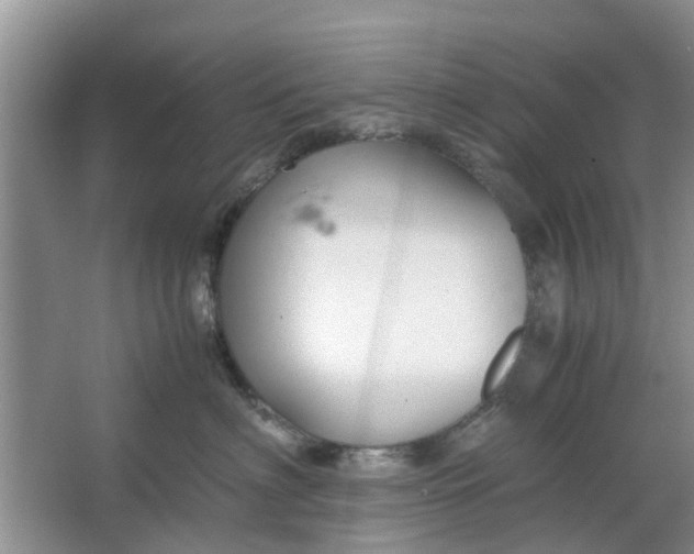 X0000064730622200602241721