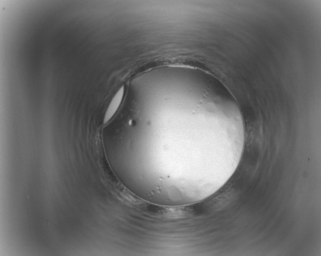 X0000064730623200602241721