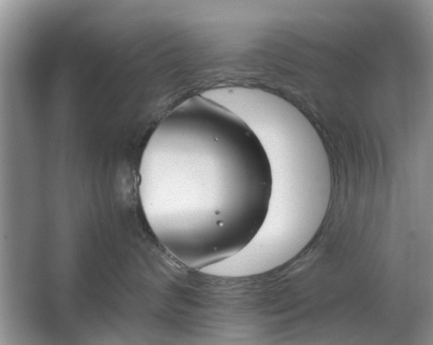 X0000064730624200602241721