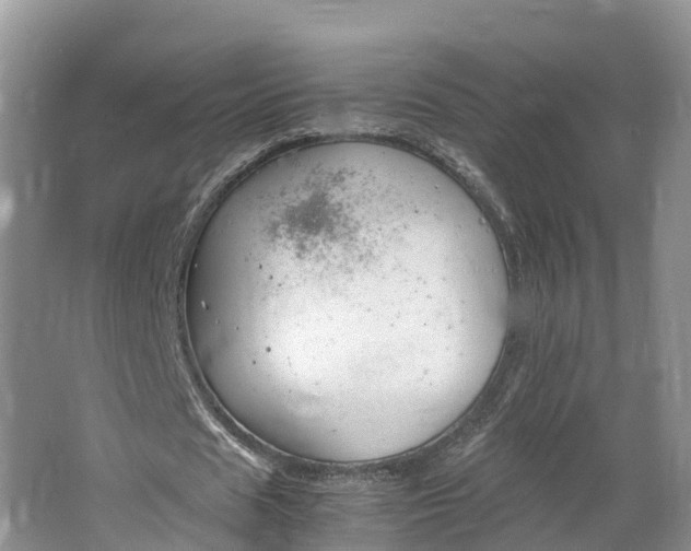 X0000064730625200602241719