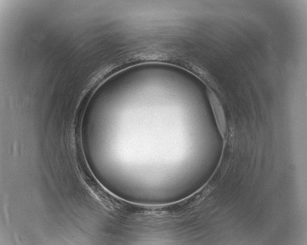 X0000064730626200602241719