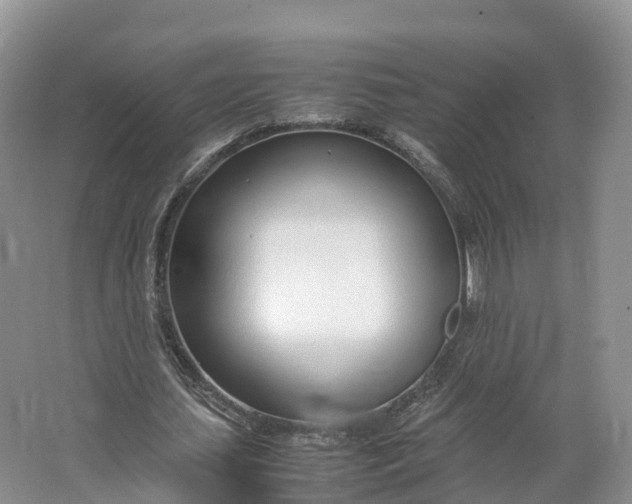 X0000064730627200602241719