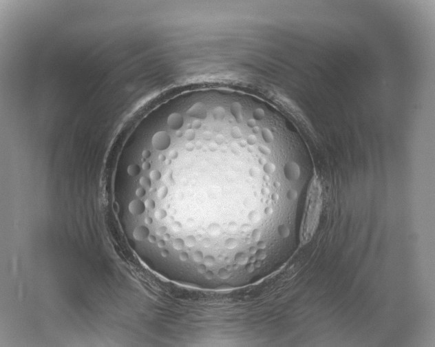 X0000064730628200602241719