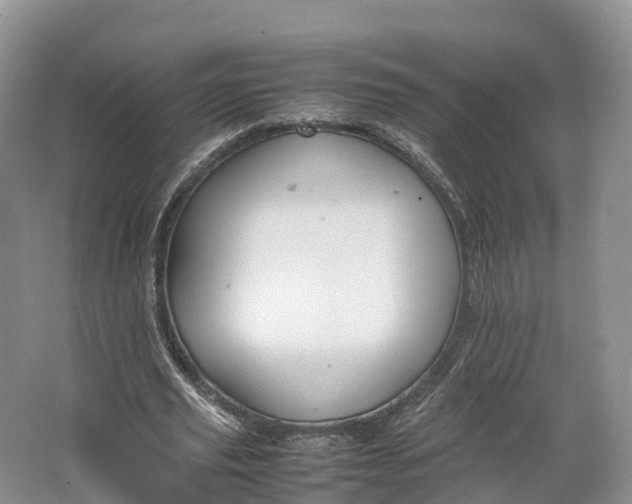 X0000064730629200602241719