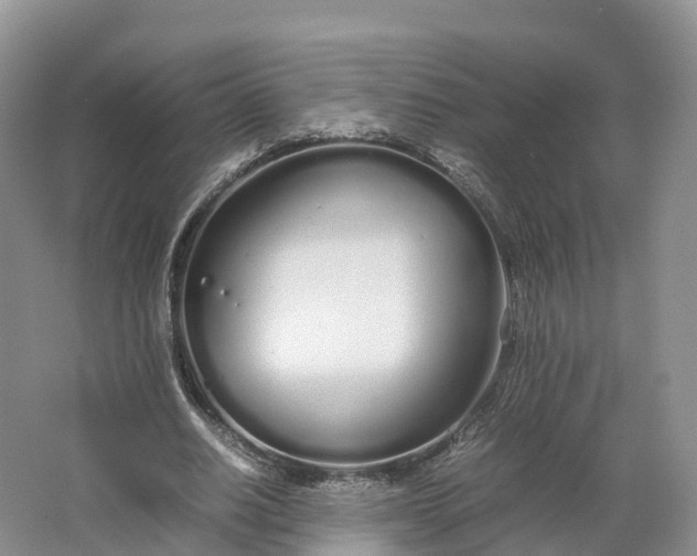 X0000064730630200602241719