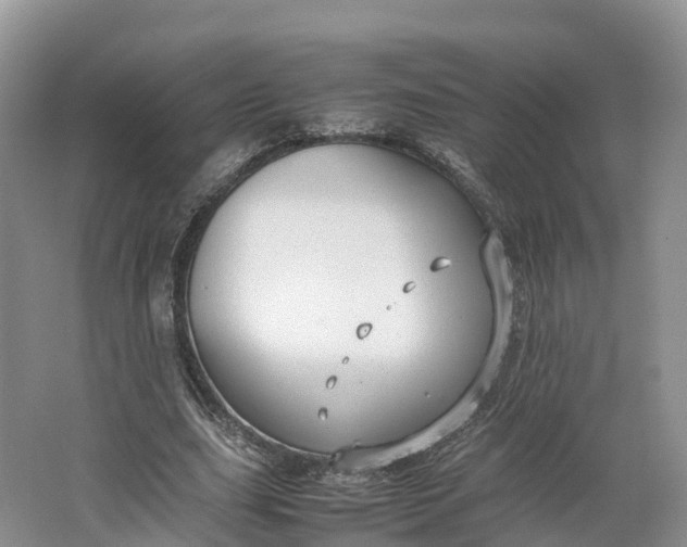 X0000064730631200602241719