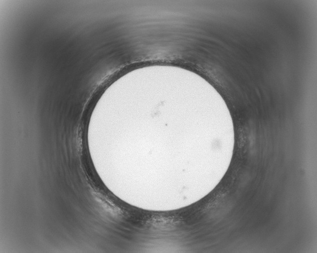 X0000064730632200602241719