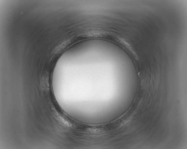 X0000064730633200602241719