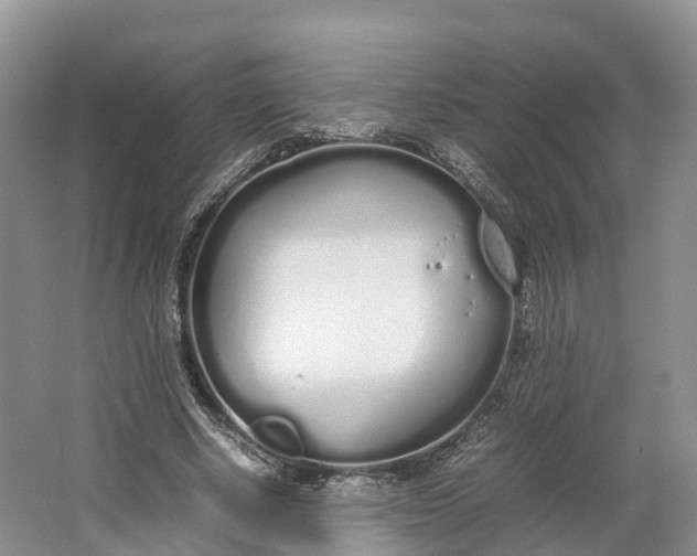 X0000064730634200602241720