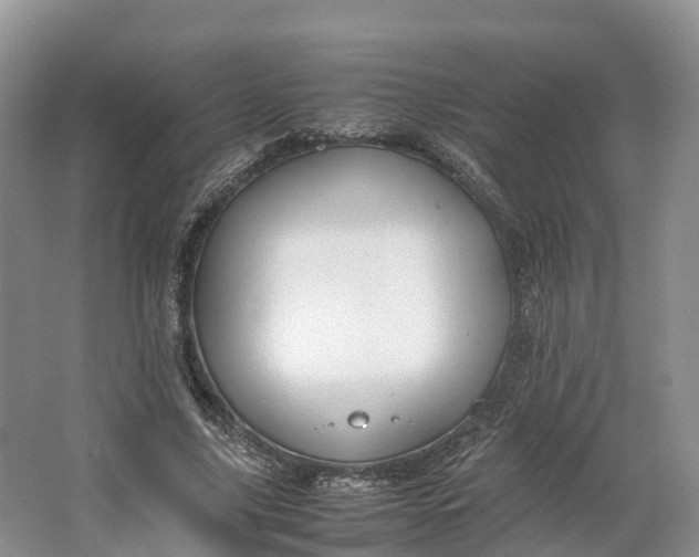 X0000064730635200602241720