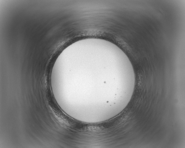 X0000064730636200602241720