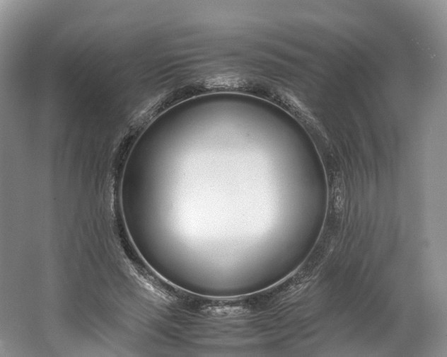 X0000064730637200602241720