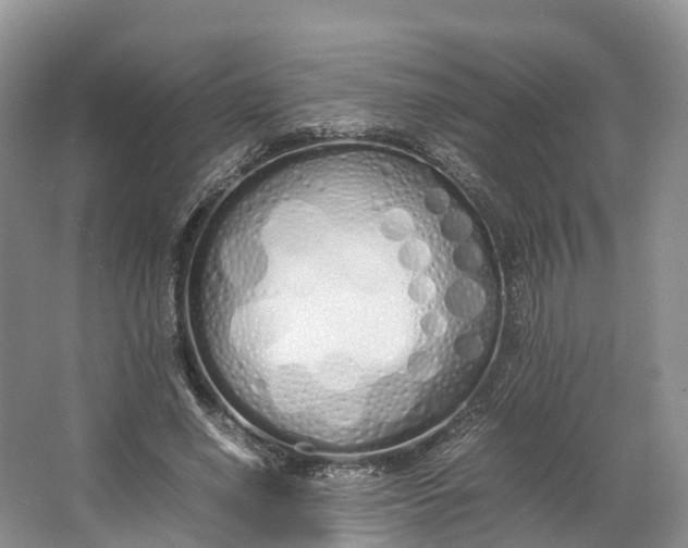 X0000064730638200602241720