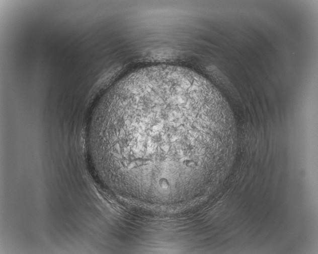 X0000064730640200602241720