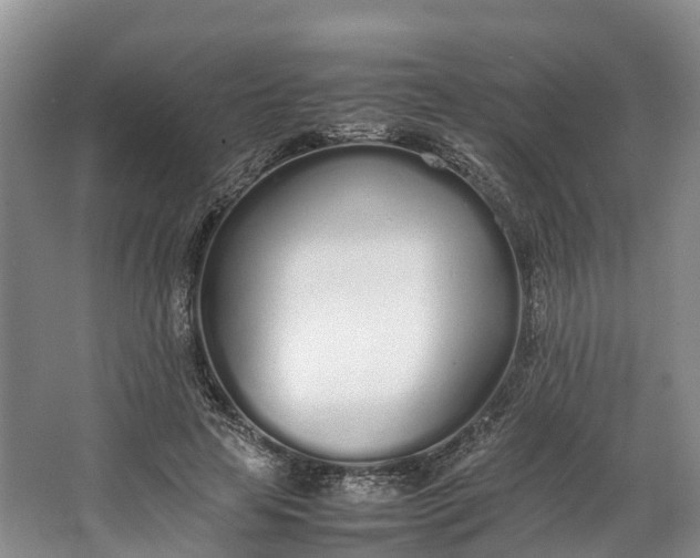 X0000064730641200602241720