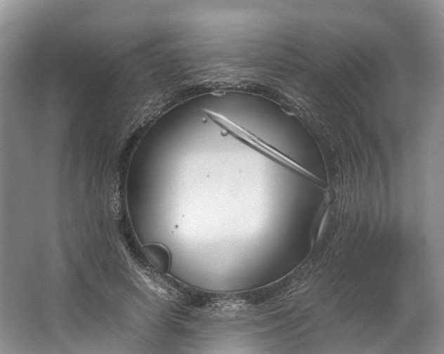 X0000064730642200602241720