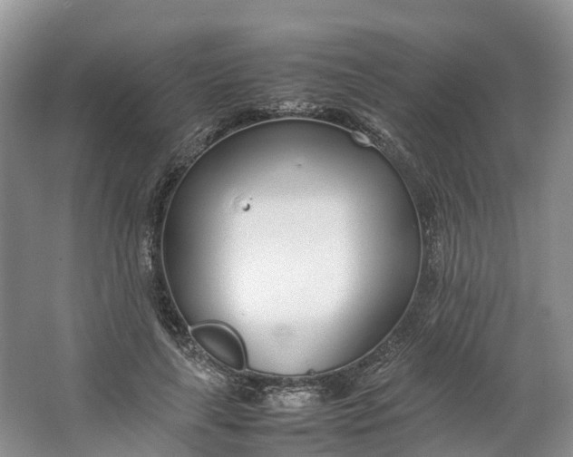 X0000064730643200602241720