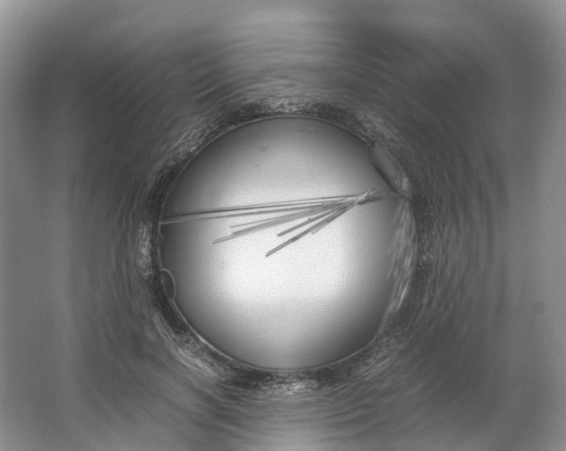 X0000064730646200602241720