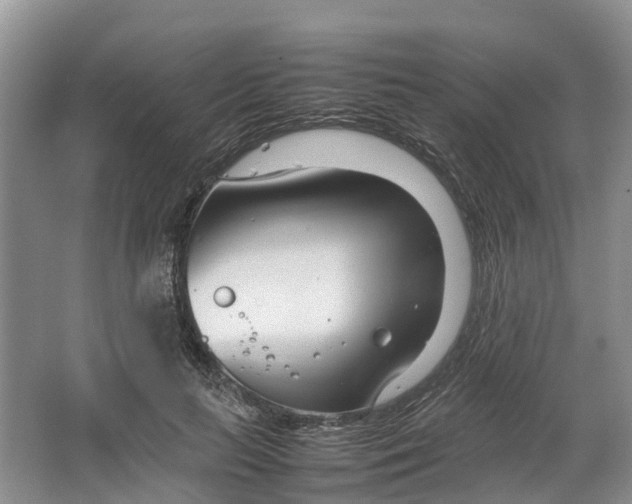 X0000064730647200602241720