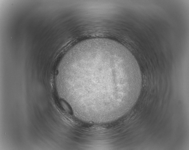 X0000064730648200602241720